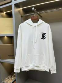 Picture of Burberry Hoodies _SKUBurberryS-2XLaztx85931831